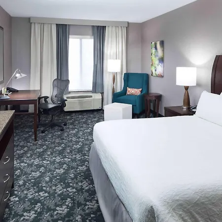 Hilton Garden Inn Detroit/Novi Exterior foto