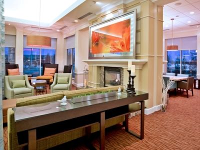 Hotel Hilton Garden Detroit/novi 3*
