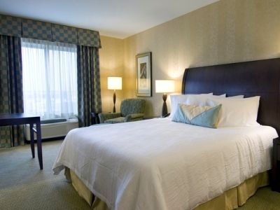 Hilton Garden Detroit/novi Novi