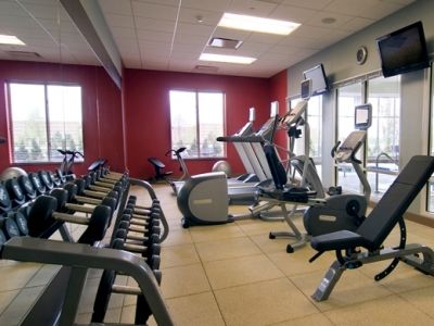 Hotel Hilton Garden Detroit/novi 3*